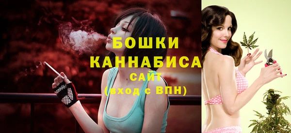 МДПВ Пестово