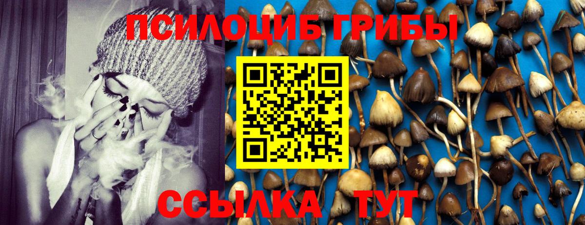 Нягань  Псилоцибиновые грибы Psilocybe  Галлюциногенные грибы Psilocybe  Вход с VPN 