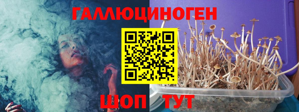 Псилоцибиновые грибы GOLDEN TEACHER Нягань